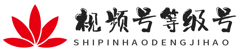 微信等级号